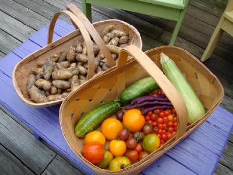 Grow Your Own Veggies at Home, Easily