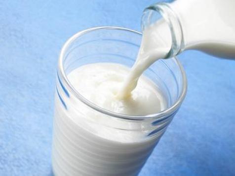 In the News: The Fattest States, New Gluten-Free Products & More Milk Benefits