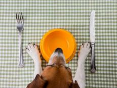 11 nutrition experts share what they feed their four-legged family members.