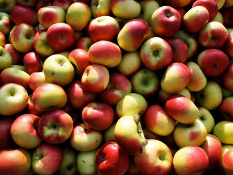 Fall Fest: 31 Days of Apple Recipes