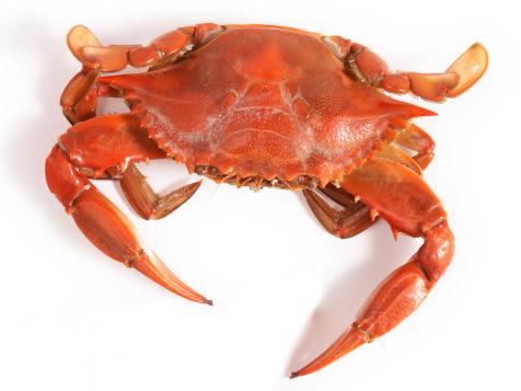 A Guide to Buying and Cooking Crab