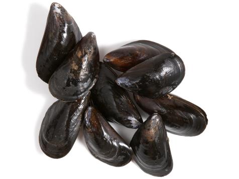 A Guide for Buying and Cooking Mussels