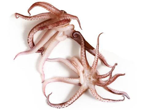 A Guide for Buying and Cooking Octopus