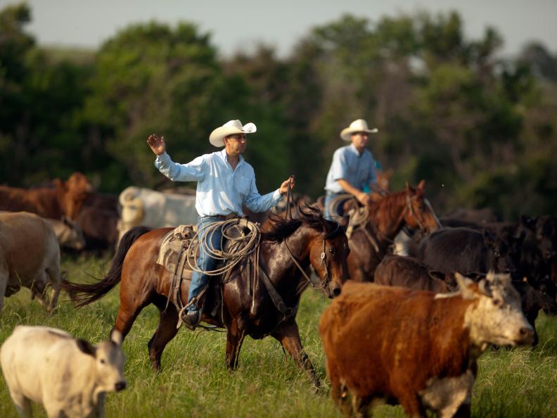 Ree Drummond - Host serves cowboy sandwiches and breakfast punch to her husband Ladd and children Alex, Paige, Bryce and Todd and the cowboys during a cattle drive in episode 1 as seen on Food Network's Pioneer Woman Season 1. 