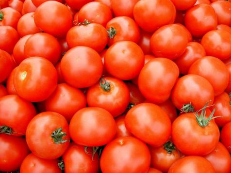 Tomato Questions from Our Readers: Storing and Handling Fresh Tomatoes