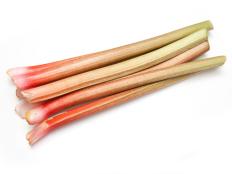 Rhubarb  isolated on a white studio background.