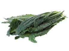 Lacinato kale