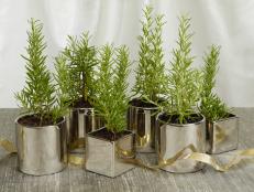 Potted herbs can make a great tablescape.