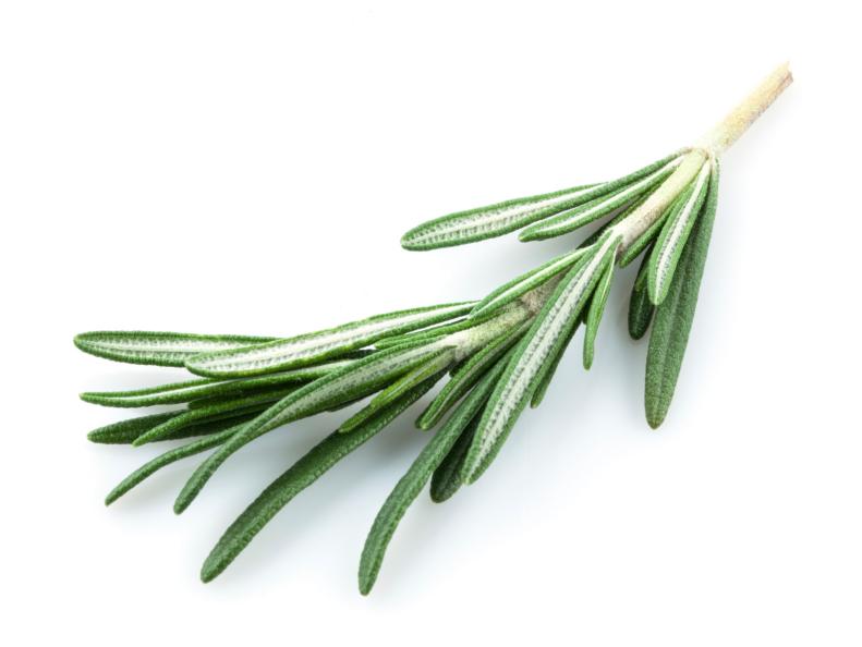 rosemary