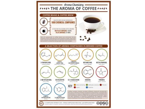 What Makes Coffee Smell So Good? An Infographic Makes Scents of It