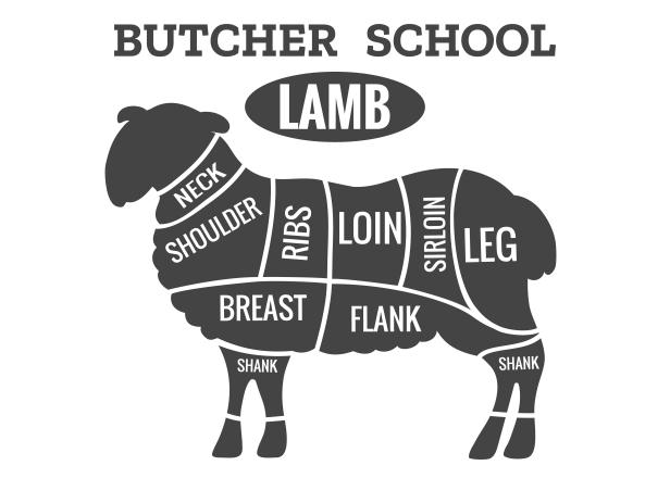 Lamb cutting. Sheep meat cut guide for butcher shop vector illustration