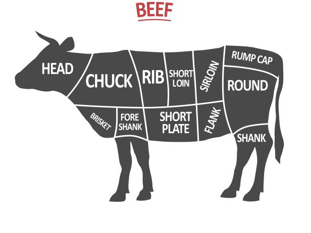 Cuts of Beef. Poster Butcher diagram. Cow silhouette isolated. Meat cuts. Beef cutting scheme. Vintage Poster for butcher shop. Retro diagram. Vector