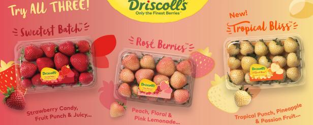 Driscoll's Sweetest Batch™, Rosè Berries™ and Tropical Bliss™