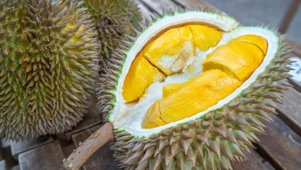 Kuala Lumpur, Malaysia - 13 May 2018: Close up on an opened Durian. For some of the people will consider Durian as having a pleasantly sweet fragrance, whereas others find the aroma overpowering with an unpleasant odour.