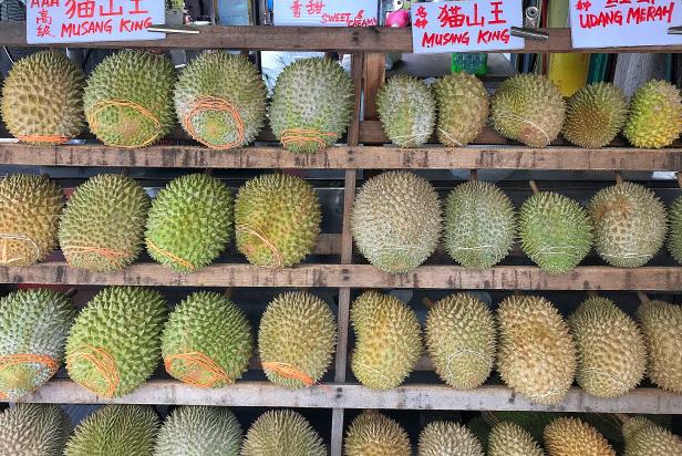 Musang king durian stall at alor street, Kuala lumpur.
