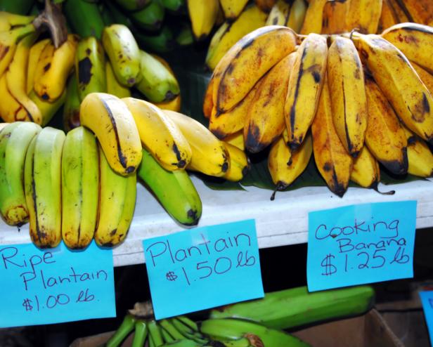 Banana varieties are ready for selling at the Hilo Farmers Market on the Big Island of Hawaii. Blue table signs list prices per pound.