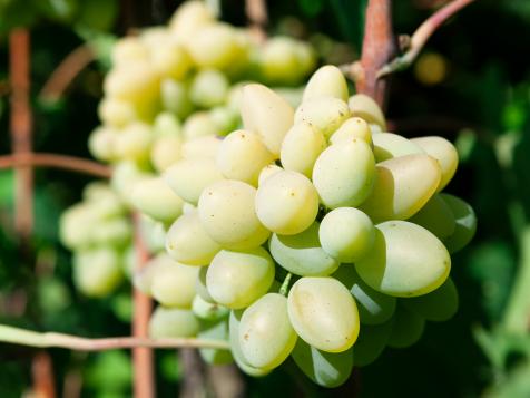 What Are Cotton Candy Grapes™?