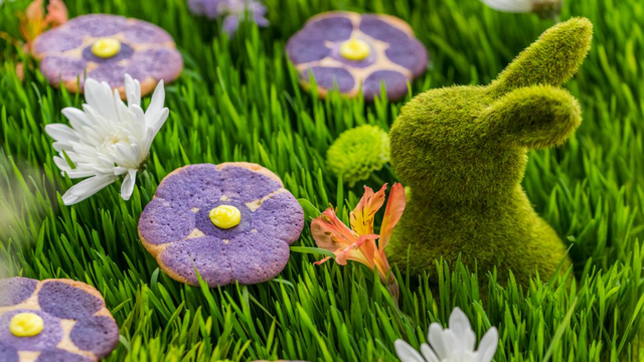 Pansy Cookies