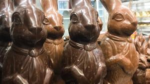 10-Pound Chocolate Bunnies