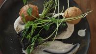 Salmon with Bagel Fritters