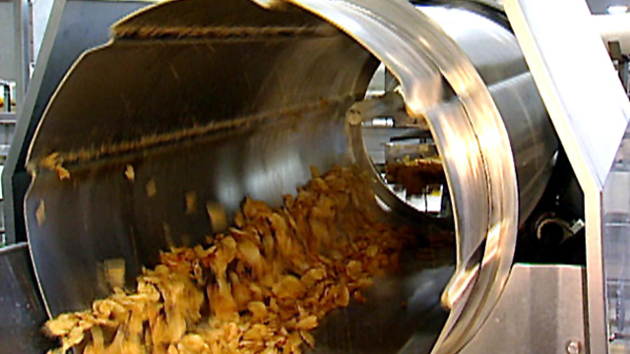 Potato Chip Production