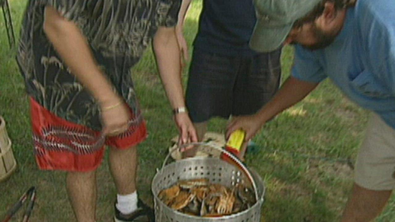 Maryland Crab Boil