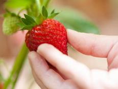 The Best Way to Store Strawberries According to Food Network Experts, Help  Around the Kitchen : Food Network