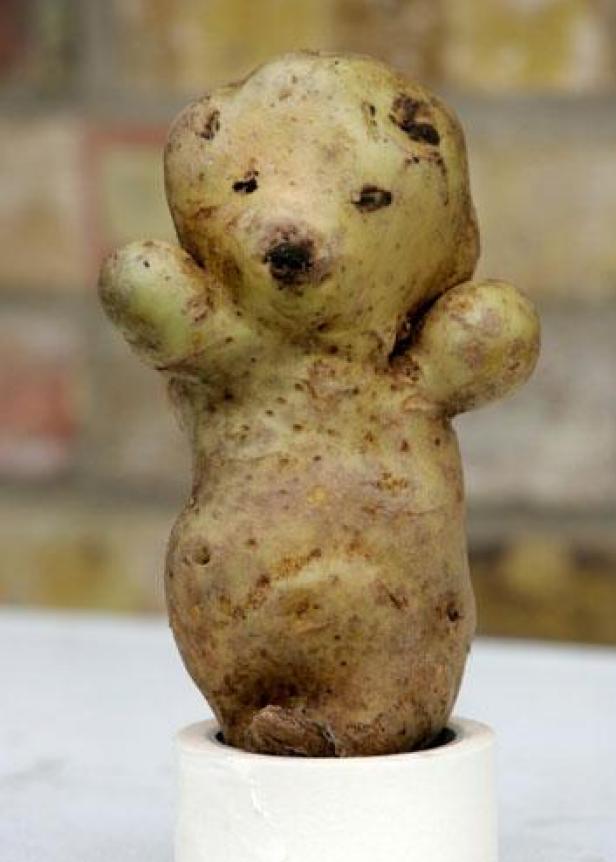 a-bear-shaped-potato-006