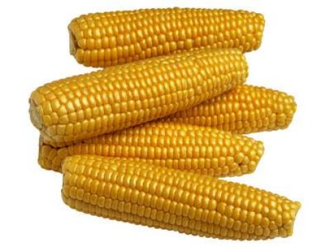 Alex Eats: Fresh Corn