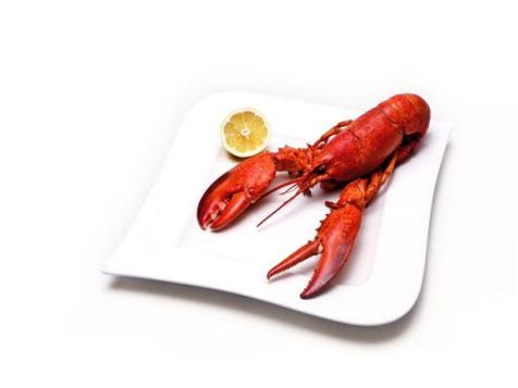 Just in Time for Dinner: Learn How to Eat a Lobster