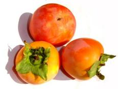 Finding uses for this ancient Chinese delicacy may seem intimidating, but persimmons are versatile. Just be sure to catch them while you can! They are in season from October through January.