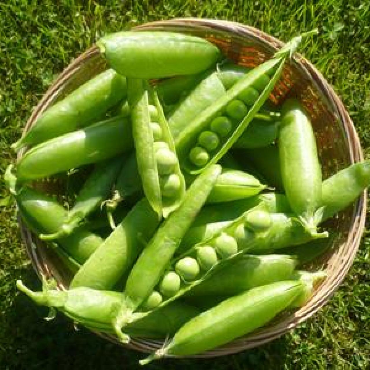 What's a legume and why should I eat it?