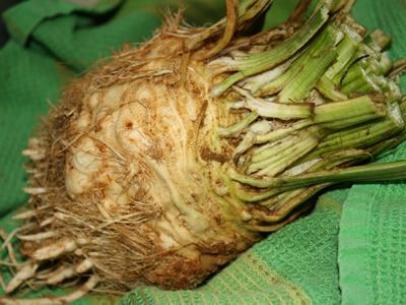 Unmasking Spooky Vegetables | Food Network Healthy Eats: Recipes, Ideas,  and Food News | Food Network
