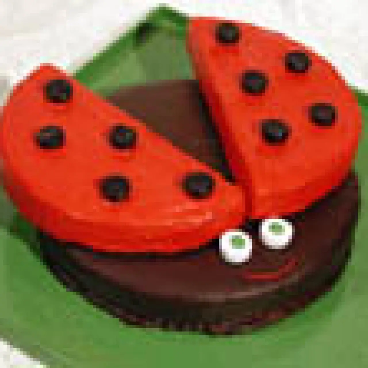 Ladybug Decorated Cake