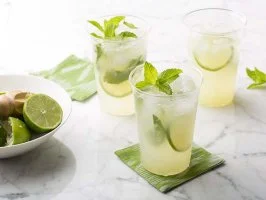 Minty Mojito Recipes