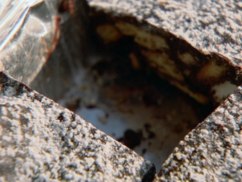 Frame 104