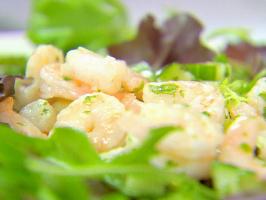 Shrimp Salad with Cucumber and Mint