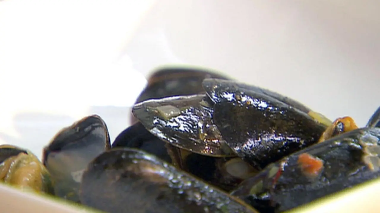Mussels in White Wine
