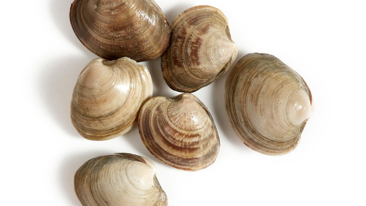 A Guide for Buying and Cooking Clams : Recipes and Cooking : Food Network, Recipes, Dinners and Easy Meal Ideas