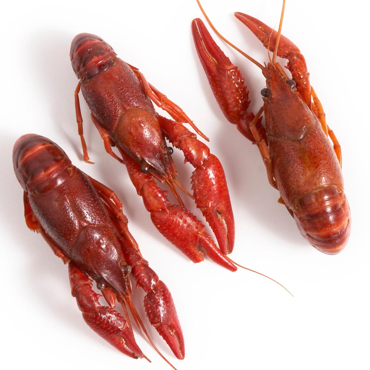 A Guide for Buying and Cooking Crayfish : Recipes and Cooking