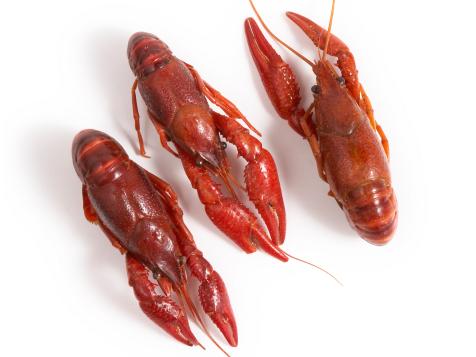 A Guide for Buying and Cooking Crayfish