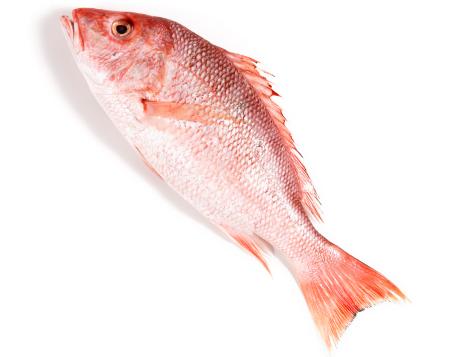 A Guide to Buying and Cooking Red Snapper