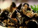 A Close-up of a cluster of mussels with herbed bread crumbs