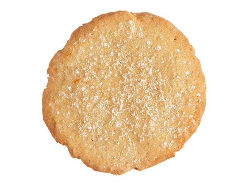 A basic sugar cookie against a white background