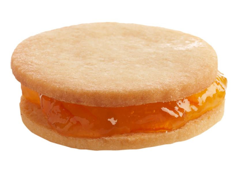 A Sandy Sandwich placed against a white background