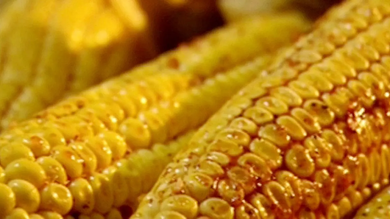 BBQ Corn