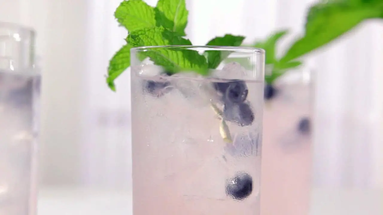 Quick Blueberry Mojito