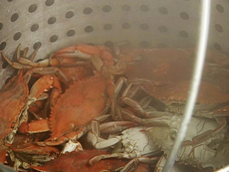 How to Steam a Crab Recipe Food Network