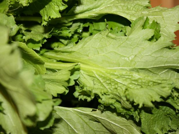 A close-up of a bunch of Mustard Greens against a brown surface