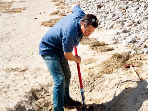 Jeff Corwin Starts Clambake By Digging Pit In Sand